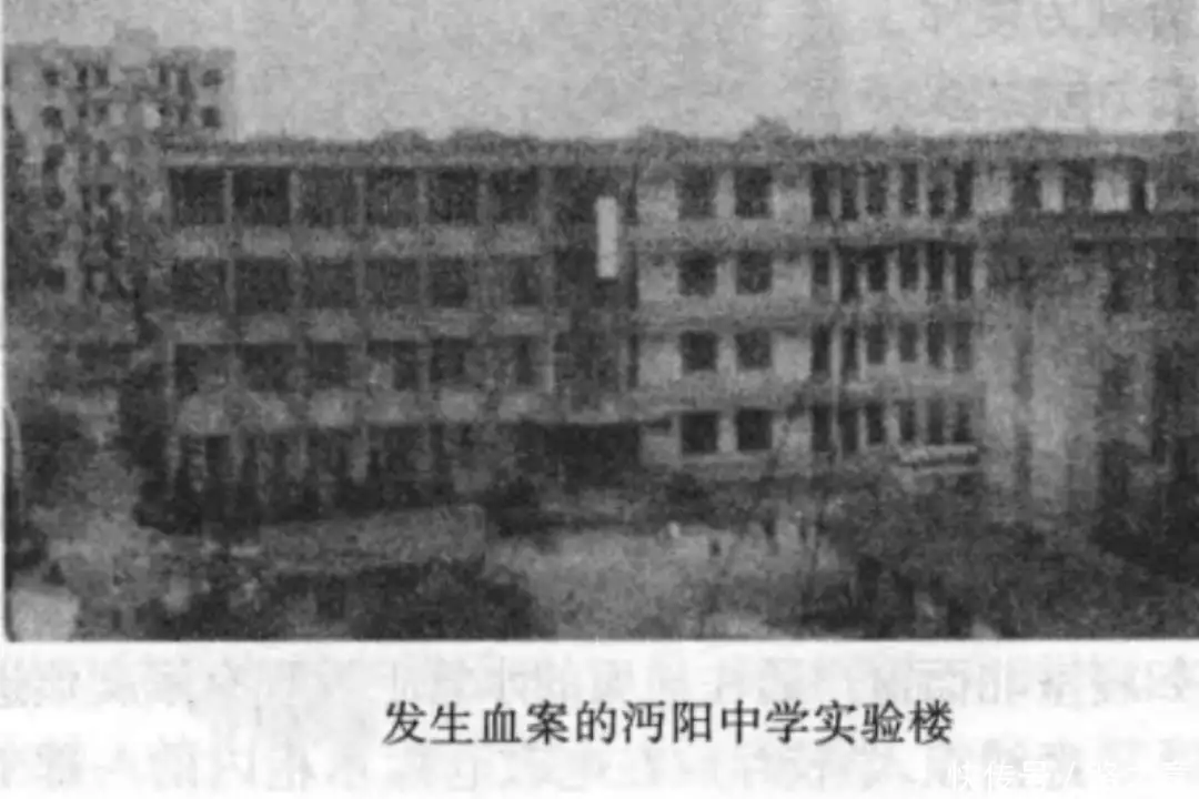 两凶犯在武汉体院被擒，1990年仙桃市沔阳中学抢劫杀人案侦破始末《暗夜与黎明》直到林少白被杀，路正阳方知，杨副局才是隐藏内奸