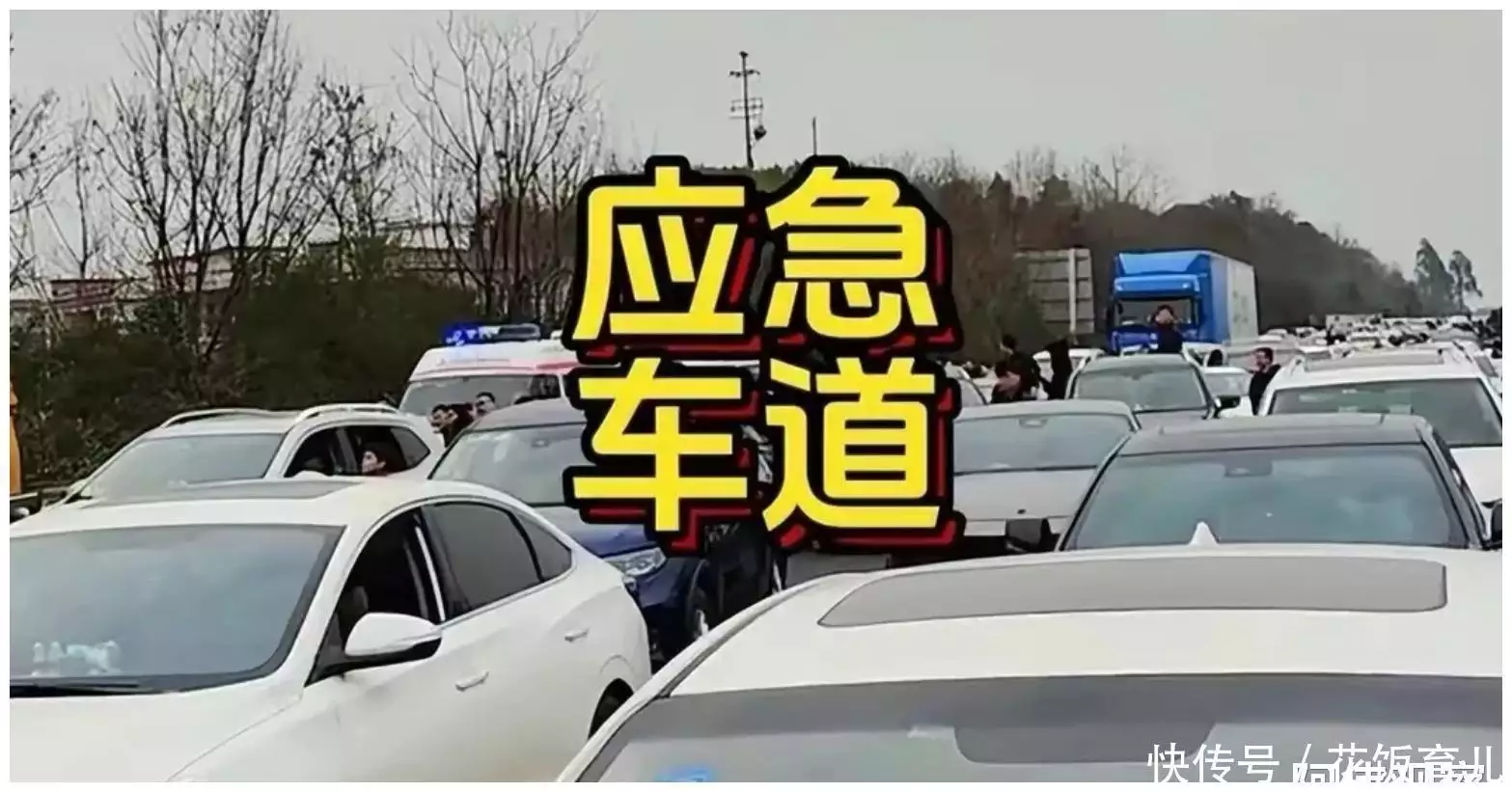 女子高速拍占应急车道50余辆车    1500元奖金可否成为山芋的韭菜？长得英俊俊朗，却输在“个子矮”上，这6位女星身高太貌似了！