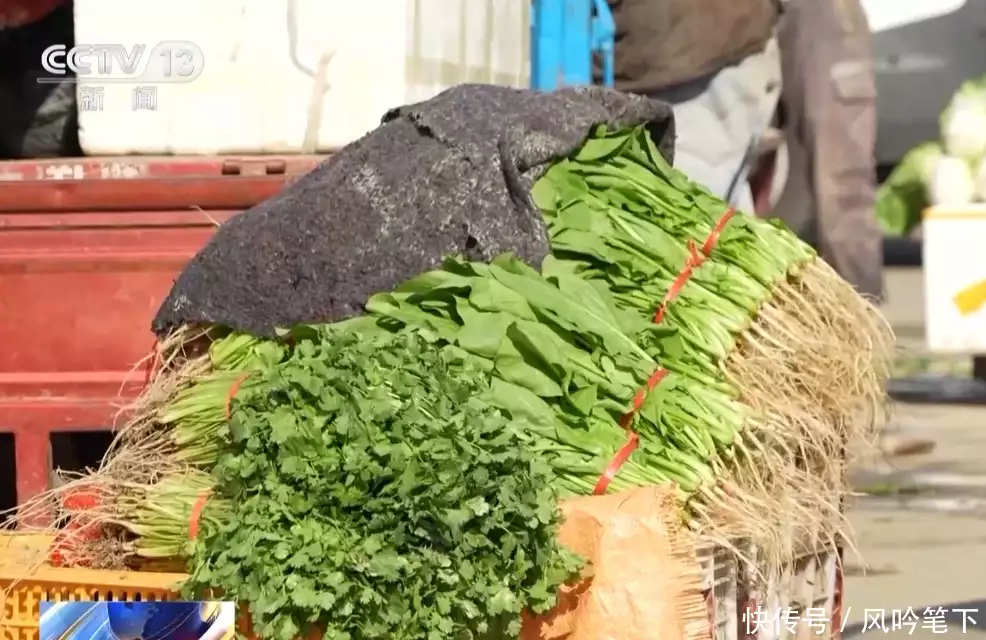 营生赵建平天本息!福建韩庄镇营生赵建平10万元,是戏码还是误解?1973年,一头神秘野兽进入部队捕食被枪杀,专家一看惊喜若狂(图4) 营生赵建平天本息!福建韩庄镇营生赵建平10万元,是戏码还是误解?1973年,一头神秘野兽进入部队捕食被枪杀,专家一看惊喜若狂(图4)