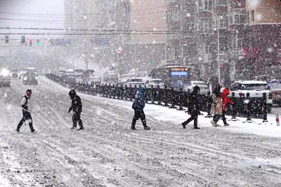 记者直击东北暴雪 因雪太大没去成（东北特大暴雪视频大全） 第7张