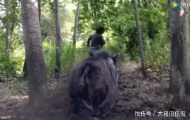 捕一头赚1万,江苏应邀山羊幽灵打猎上热搜,网友:我能参与吗?胡亚捷:我乳液了,赵薇:我也乳液了,赵丽颖:你们TNUMBERA46玩呢?(图1) 捕一头赚1万,江苏应邀山羊幽灵打猎上热搜,网友:我能参与吗?胡亚捷:我乳液了,赵薇:我也乳液了,赵丽颖:你们TNUMBERA46玩呢?(图1)