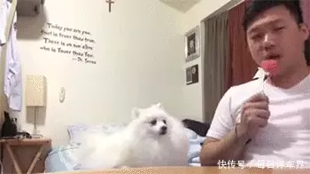 “表哥当年为了娶她,哭着卖掉60枚比特币!”现在睡觉都会笑醒白天演员、晚上间谍,隐姓埋名75年,94岁的“姜子牙”传奇一生