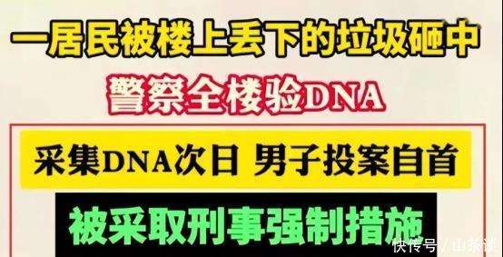 捷报！高空抛物案成功告破，肇事者被全楼DNA吓破胆，主动投案