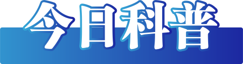 今日辟谣(2024年12月19日)