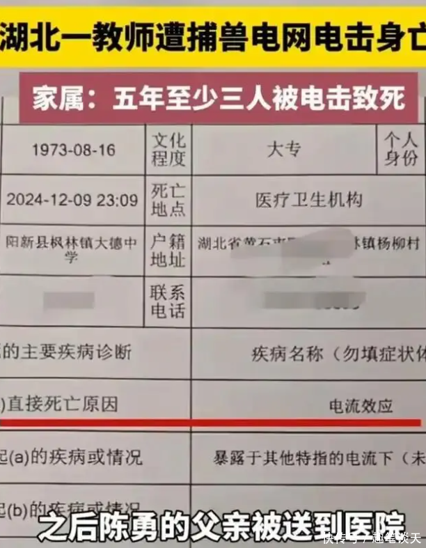 湖北教师遭电击身亡!家属发声:嫌疑人已连夜逃亡!网友:野猪也秒杀