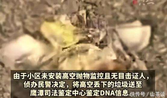 捷报！高空抛物案成功告破，肇事者被全楼DNA吓破胆，主动投案