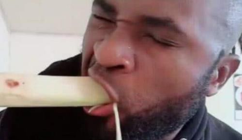 回答|为什么甘蔗只有中国人能直接食用看看老外的回答就知道了