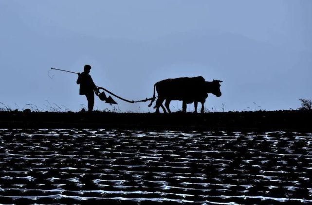 中国|中 国 人 的 “造 物 观”。