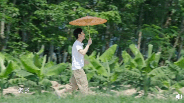  丹丹|四季过去了，它还是国内最治愈的慢综艺