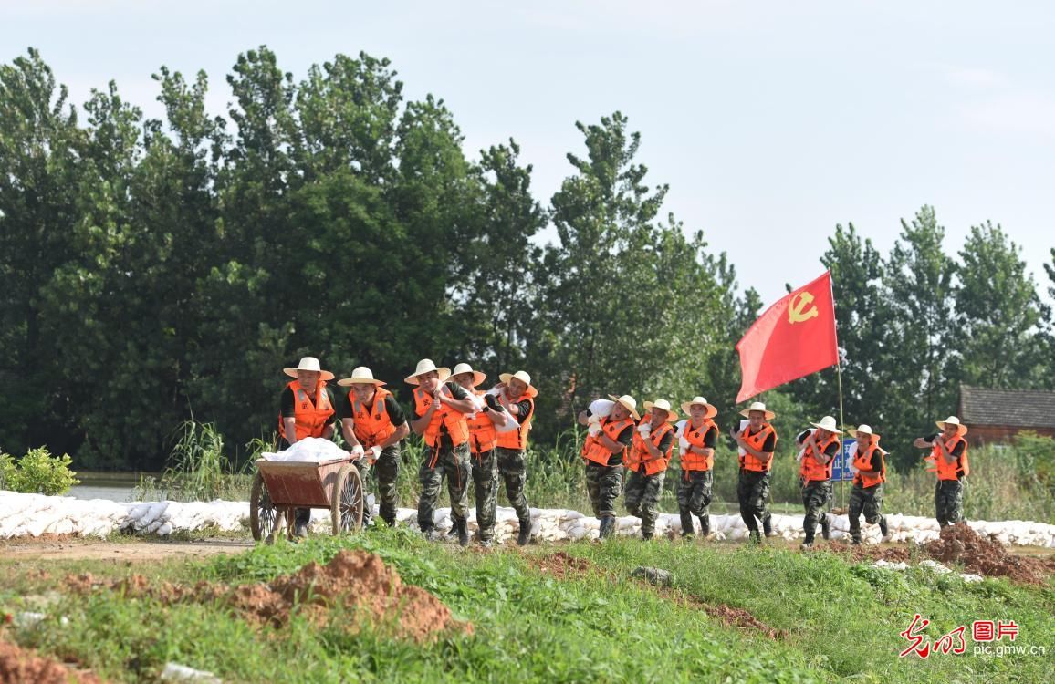 武警|安徽武警：战高温 固堤坝