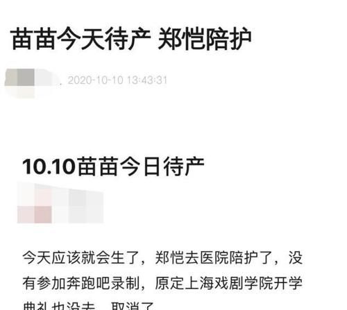  丈夫|郑恺当爸？网曝苗苗到医院获丈夫陪产，郑恺多次上线欲官宣？