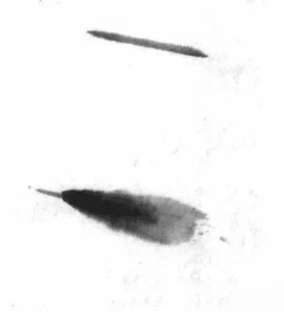  画法|怎么画鱼虾蟹蛙、写意《趣》画法