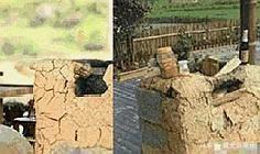 环境|《向往的生活》蘑菇屋荒废被拆,环境可怕的吓人,大家都去哪了