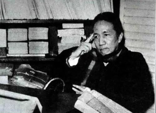  高考作文|满分作文《生活在树上》：高考作文不是自媒体文章，不需要人人看懂