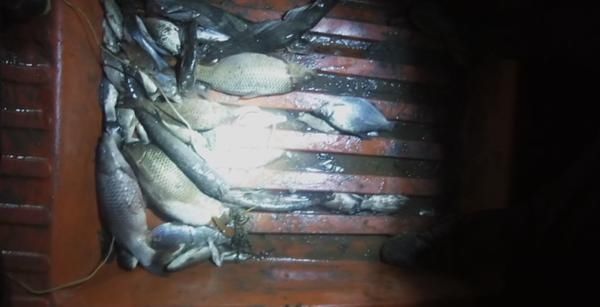  黄河|深夜在黄河疯狂电鱼 6名嫌犯被批捕