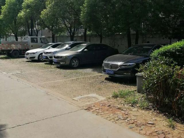 现象|文明创建曝光台丨今天曝光这些不文明现象！