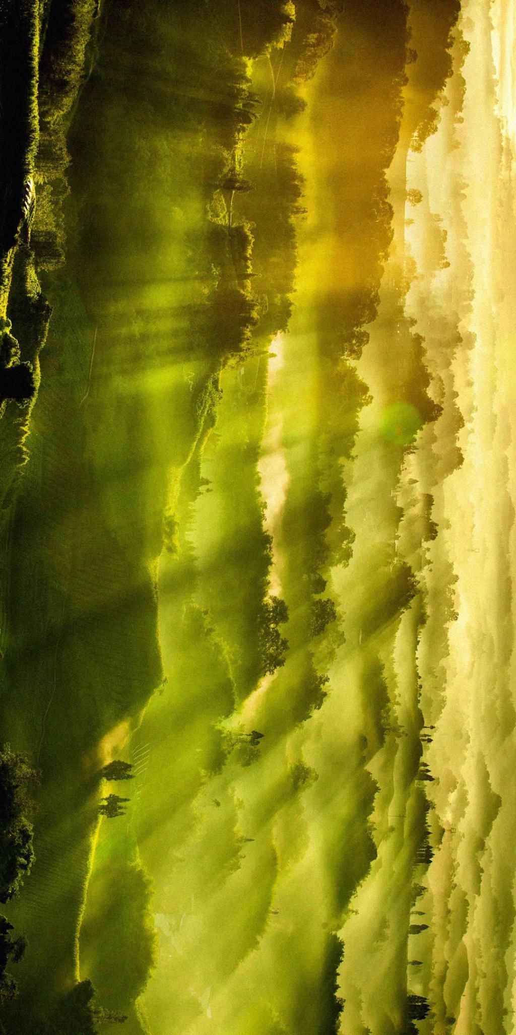  瞒不住|完了！雅安遍地大熊猫的事瞒不住了