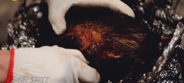 关系户|亮点不断!《向往的生活》迎来最强关系户,盼了三期,何炅终圆梦