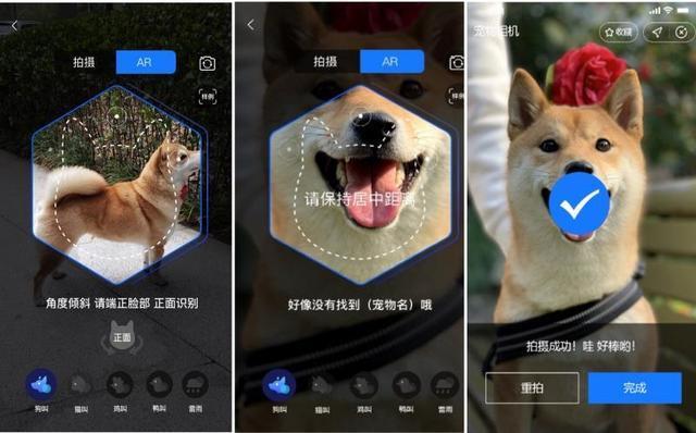  支付宝|支付宝推出宠物保险，保费399元可报销1万元，该为顽皮狗买一份？