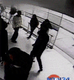 搞笑|搞笑GIF：直到今天我才知道，原来西瓜是长在土里面的