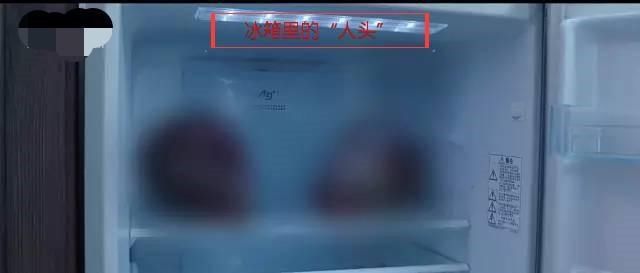  节目|盘点几种特色马赛克，最好心的莫过于《法医秦明》了