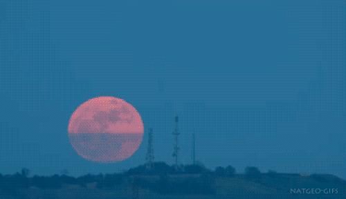 消失|被骗了之后，还有勇气相信别人吗？爱会消失，对吗……