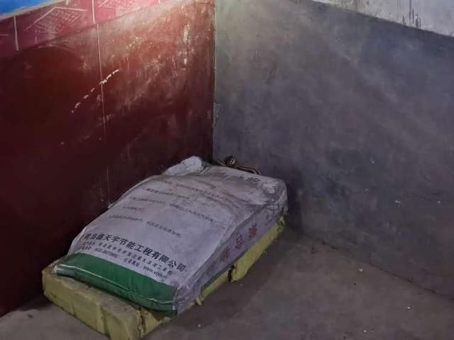  出动|家里来了不速之客，看着怪吓人的！消防出动了