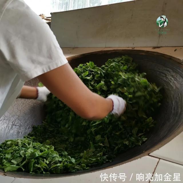入口|入口润,含着润,喝完润,这才是熟茶该有的味道