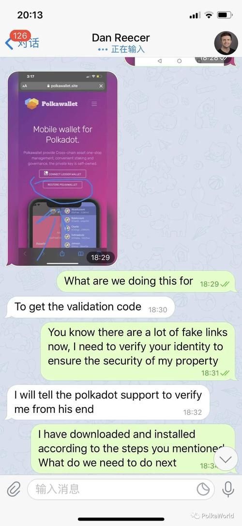 守住|现在骗子都这么狂了吗？！波卡官方防骗指南助你守住 DOT