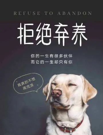  上海|上海警方处置首例遗弃犬案：老伯弃养18岁老年犬被罚500元