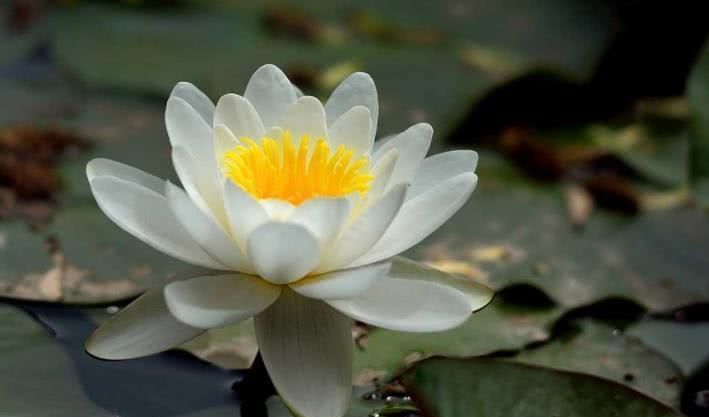  赚钱|8月开始赚钱如流水，贵人运旺，富贵不倒的四大属相