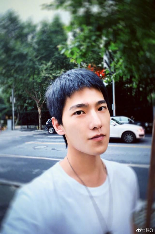 蔡徐坤|郑爽、蔡徐坤、杨洋、Angelababy、周震南