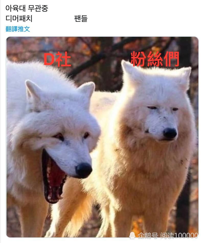  粉丝|《偶像运动会》的中秋特辑将以无观众的形式举行？火气最大的是粉丝们！