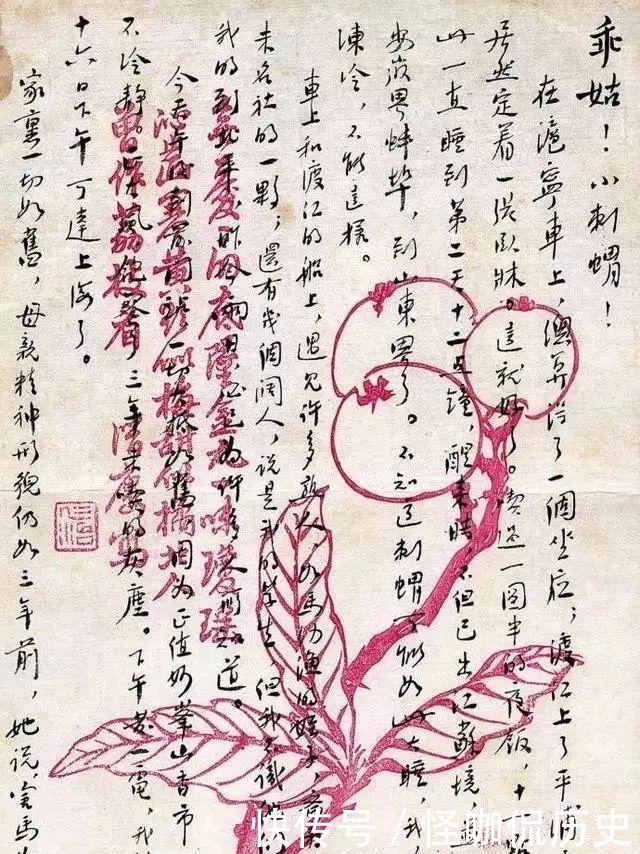 超越|杨超越的小红象关我周树人什么事?对不起,这话还真是先生说的