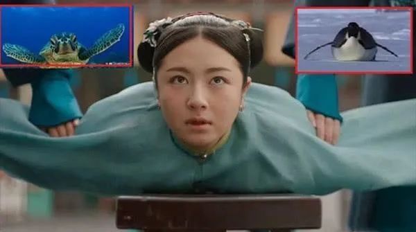  垫底|别骂了，白敬亭已经在四大墙头里垫底了