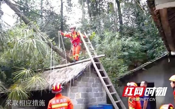  花垣|湘西：降雨致树木翻根房屋受损 花垣消防解危机