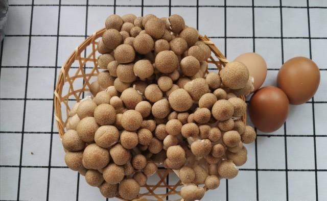 好好|鸡蛋和蟹味菇最棒的做法,微辣鲜香,滑嫩爽脆,实在好好味