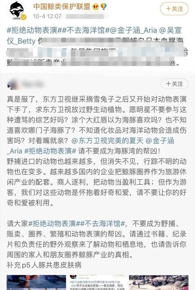  专家|综艺节目又出事？金子涵涂口红亲海豚，被专家怒怼又蠢又恶