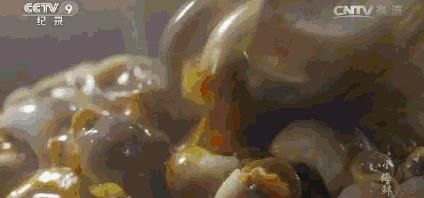 好吃|高铁可直达!被央视挖出的宝藏小城,多次入选《舌尖上的中国》,太好吃了!