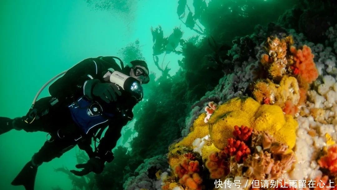 好去处|这个夏天怎么玩?推荐大温20个必打卡好去处,一定有你没玩过的!