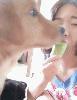 可行|搞笑GIF：妹子这一招，抓苍蝇可行吗？