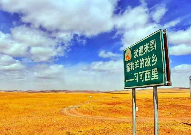  旅游|24岁女大学生青海旅游失踪19天，网友：如没有好人相助凶多吉少