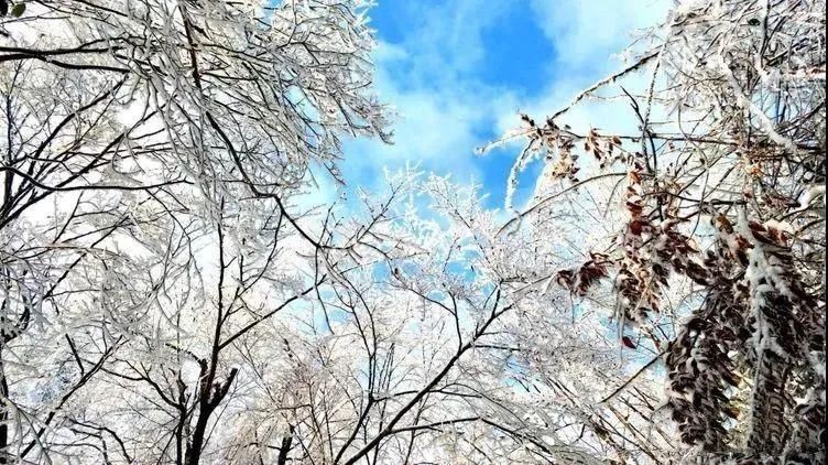 汉江|从0℃到100℃，感受汉江之源的温度…