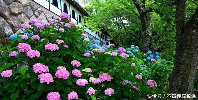 长久|“惹不起的几星座”,不管男女,以后都会家庭幸福婚姻长久