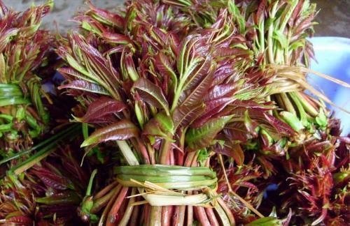  草酸|这几种菜做之前一定要焯水，吃坏了身体事儿就大了！