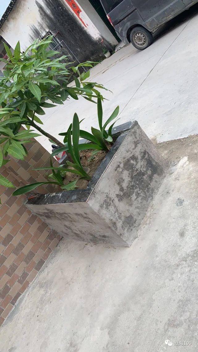 交通事故|注意!这些路段将实行交通管制;潮南一男子撞倒老人后报警,竟称自己是路人?