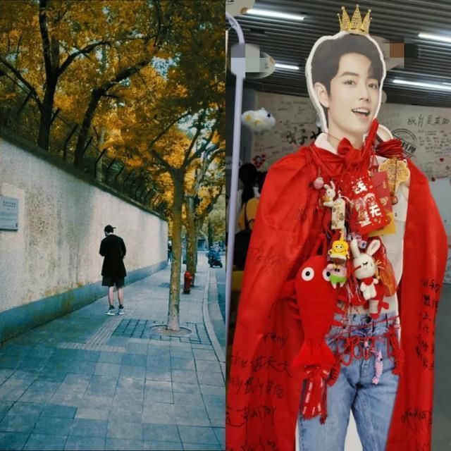 豌豆黄|肖战尝试北京小吃,被豌豆黄惊出表情包,求生欲强都吃光