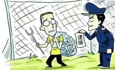 非法捕捞水产品|首例！因非法捕捞，东至两男子获刑！