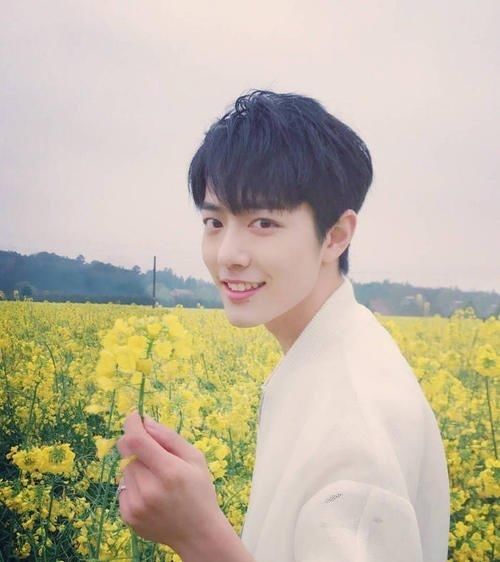  结束|肖战案件开庭日前确定，案件结束《余生》上映？