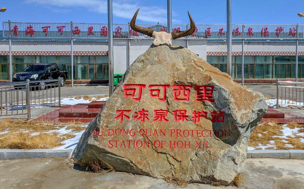 青海|青海失联22天女大学生黄雨蒙遗骸被找到?可可西里“探秘”需谨慎